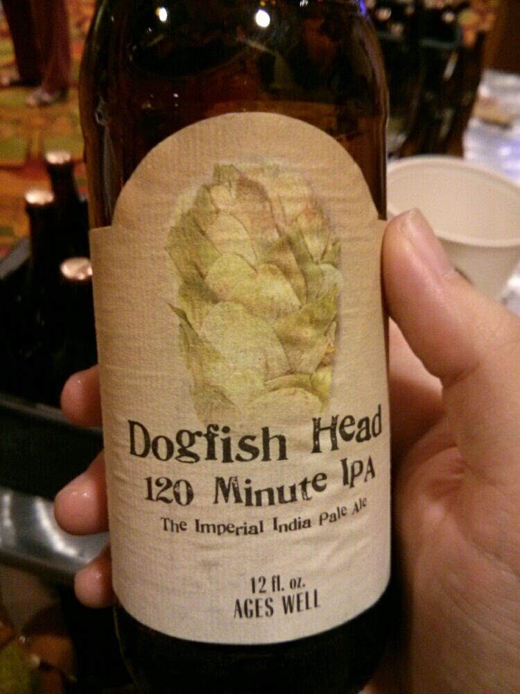 120 Minute IPA