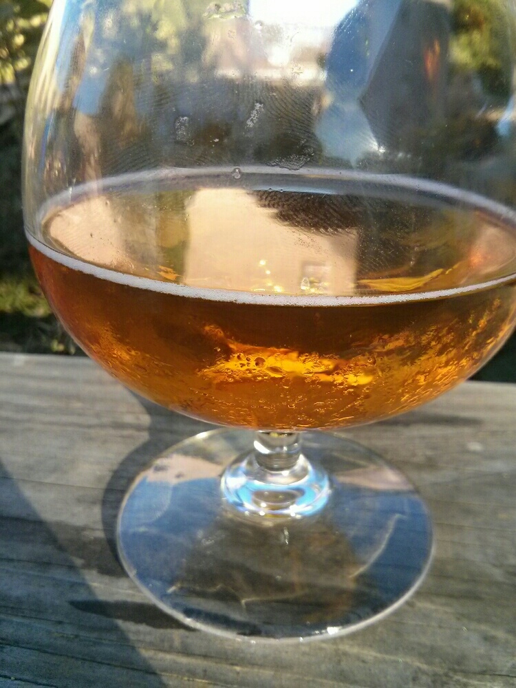 Stone Enjoy By 09.20.14 IPA