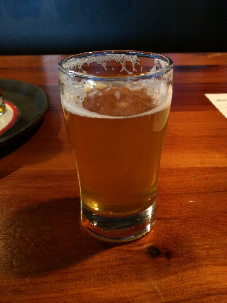 Day Trip Pale Ale