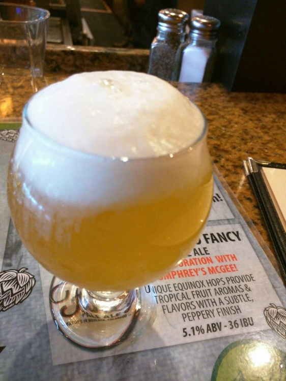 Nothing Too Fancy American Ale by Umphrey’s McGee