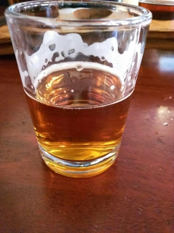 Local 3 American Amber