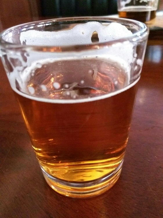 North X Southwest IPA