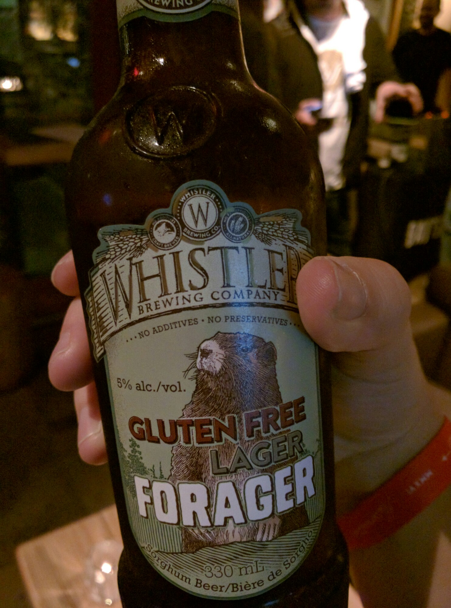 Forager Gluten-Free Lager