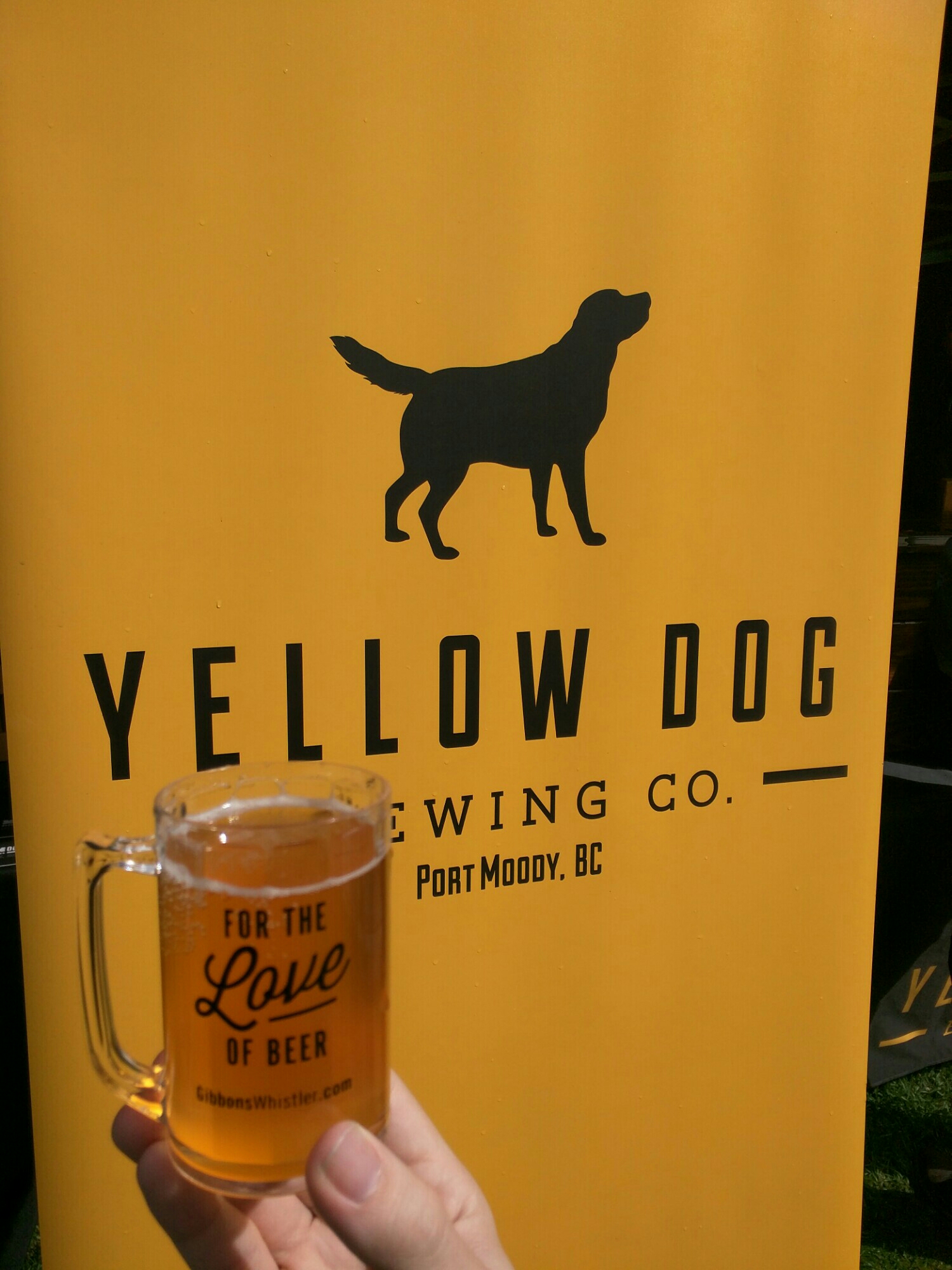 Super Secret Sour Blonde Ale