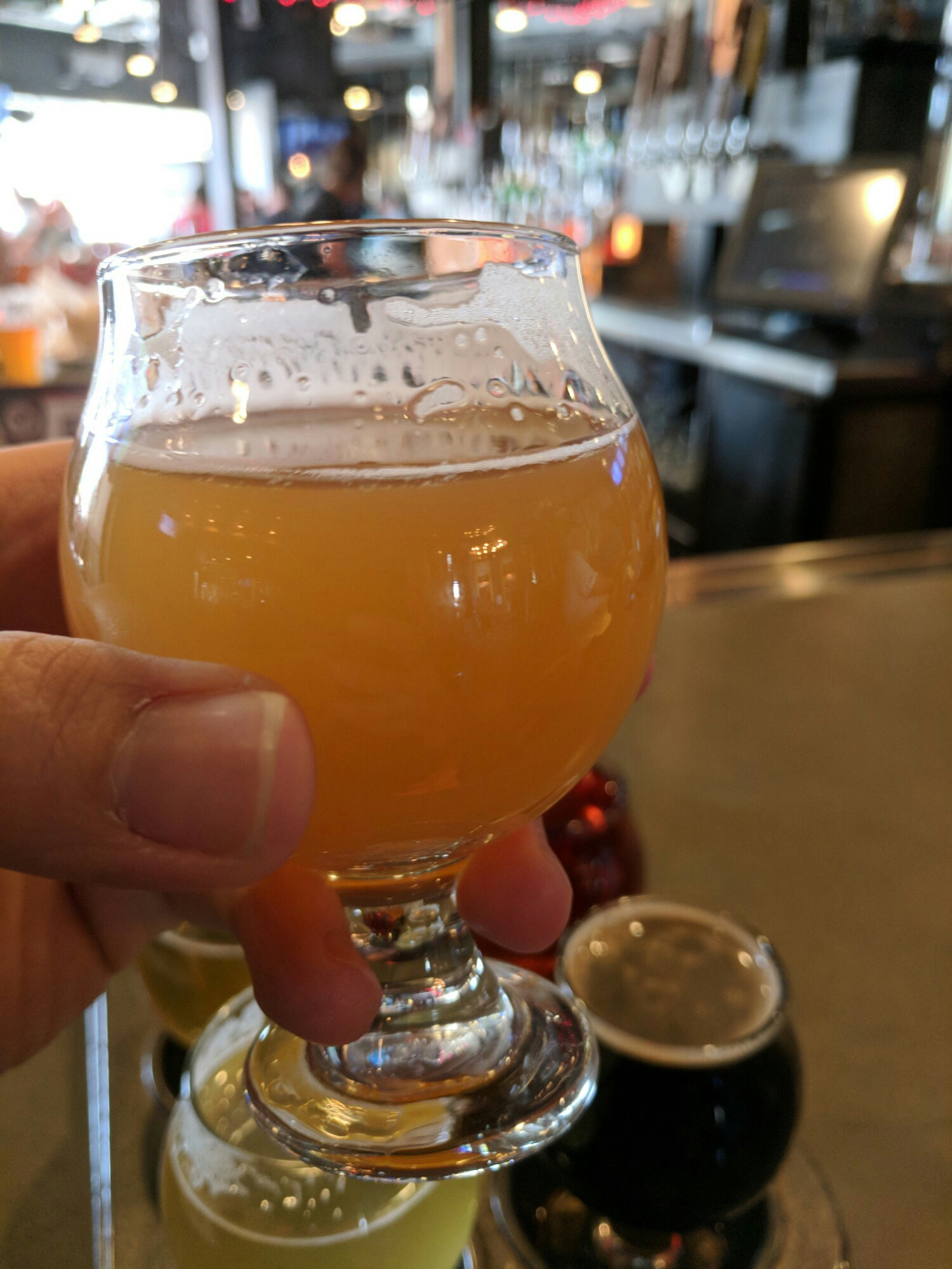 East Coast Grove Unfiltered IPA (2017)