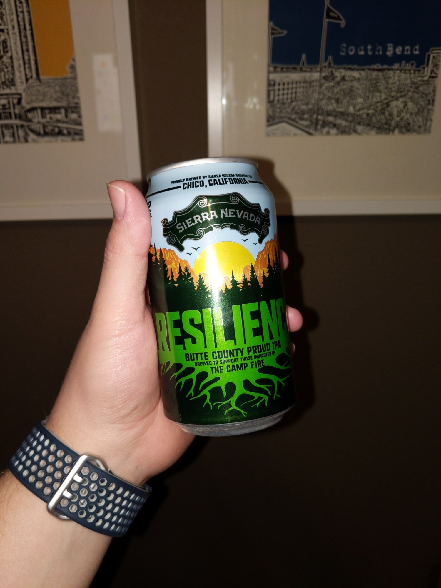 Resilience Butte County Proud IPA
