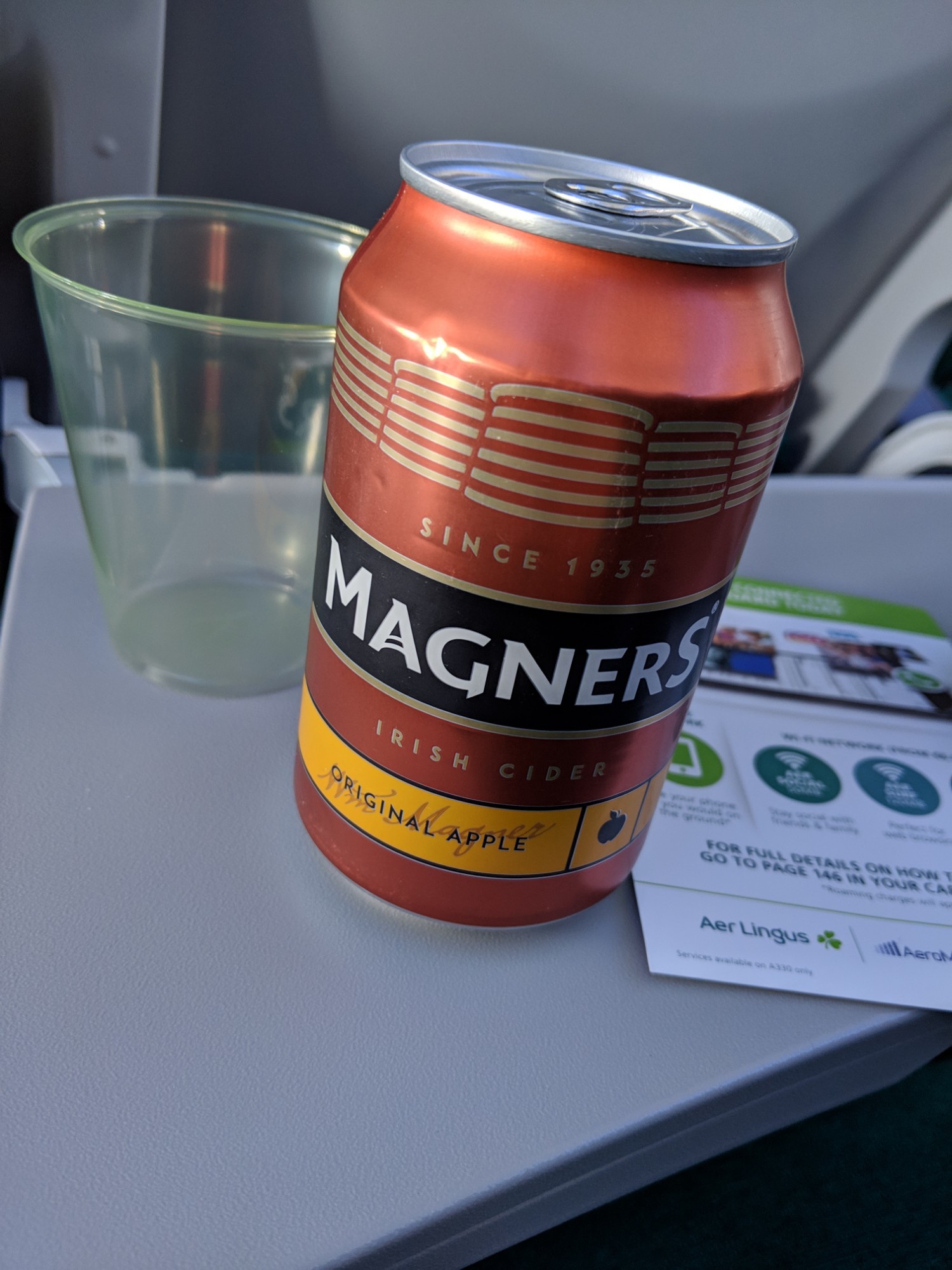 Magners Original Irish Cider