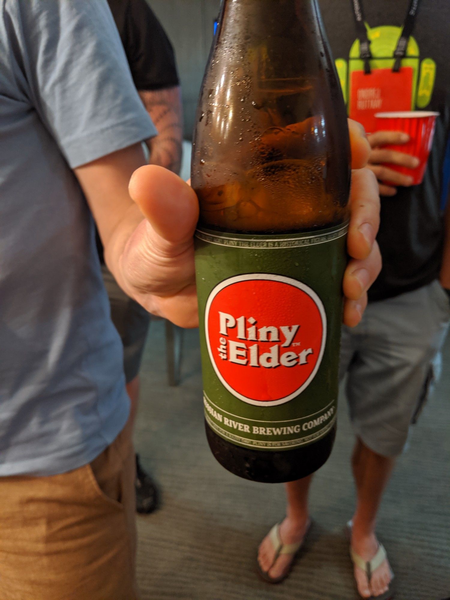 Pliny the Elder